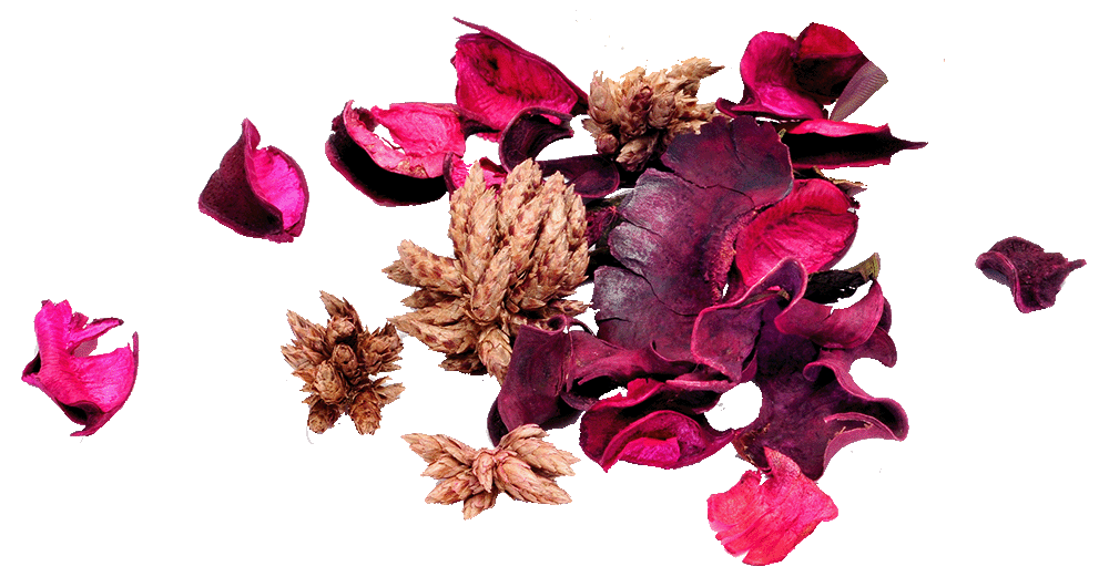 Preserve Your Bouquet: How To Dry Them Out Or Make Potpourri